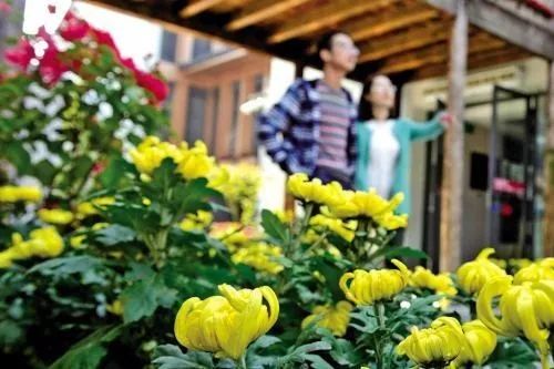 養花賞花 有益健康長壽